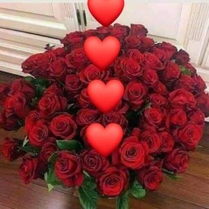 Meet your Posher, Georgette